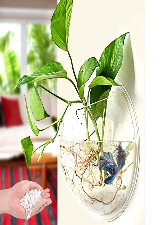 VAYINATO® 9 Inch Wall Hanging Mounted Aquaruim Fish Bowl Betta Tank Stylish Home Decoration with White Pebbles Gravel Stone by Petzlifeworld - Image 2